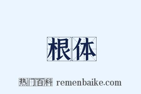 根体是什么意思的图片